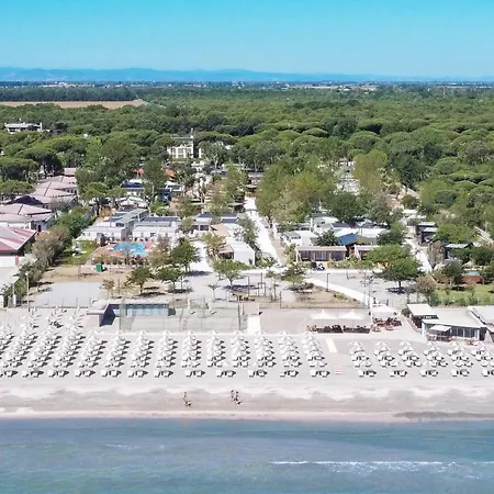 Hotiday Pineta Hotel 4*