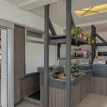 Hotiday Pineta Milano Marittima