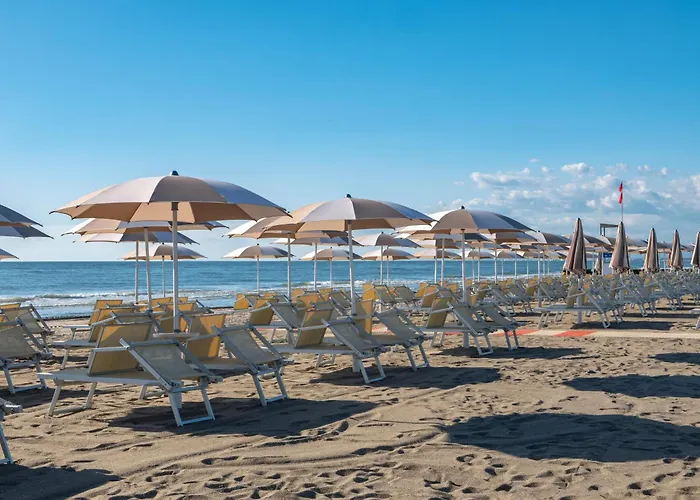 Hotiday Pineta Hotel 4*