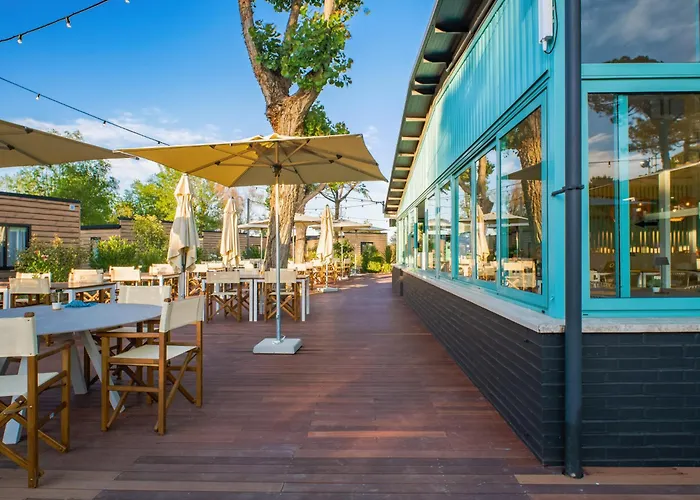 Hotel Hotiday Collection - Milano Marittima